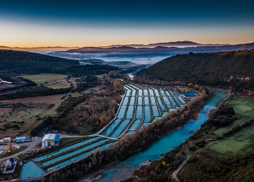 España, una referencia europea en acuicultura