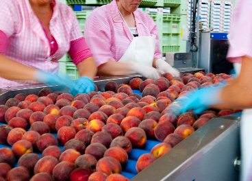 Facturación de HaciendasBio