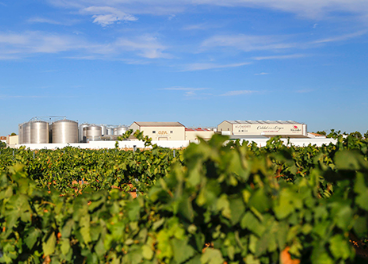 Bodegas Alcardet factura 21 millones de euros