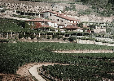 Bodegas José Pariente compra A Vilerma