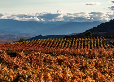 El presupuesto de Rioja será de 15,7 millones