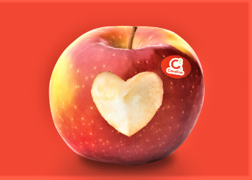 Manzana Candine