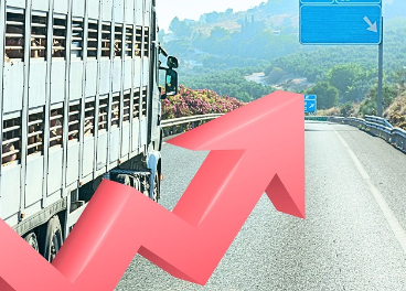 El transporte animal y el sector cárnico