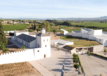 Nace Bodegas Raíces Ibéricas