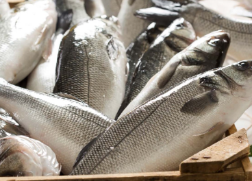 Profand compra Kefalonia Fisheries