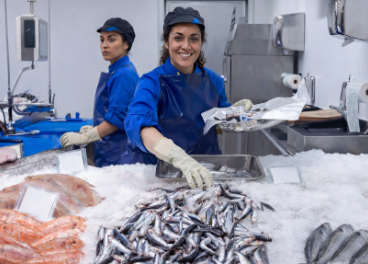 Uvesco inicia la campaña de anchoa del Cantábrico