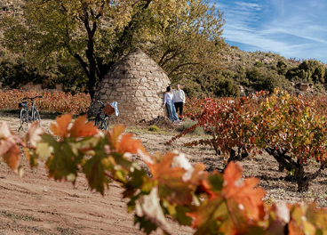 La DOCa Rioja crece un 3,5% en enoturismo 