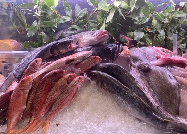 El sector pesquero denuncia el fraude vegetal