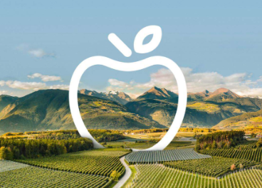 Caída en la producción de manzanas