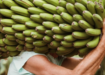 Compras de Aldi en Canarias