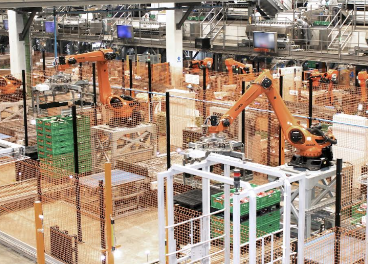 Somos Hijolusa factura más de 260 millones