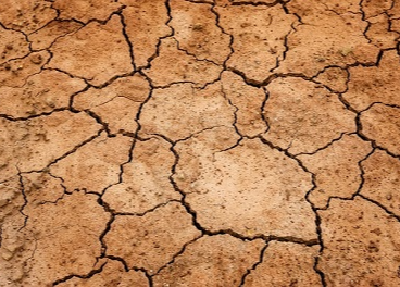La sequía amenaza el suministro de alimentos