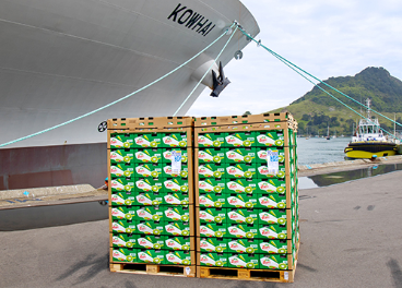 Nueva temporada de kiwi Zespri