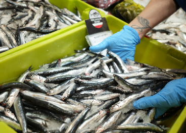 Anchoas de Santoña en Uvesco