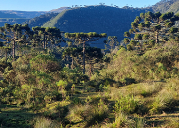 Tetra Pak, Plan de Protección de la Naturaleza