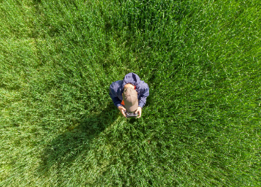 España, líder en agrotech