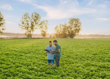 Agricultura regenerativa