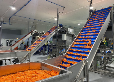 Agrícola Villena invierte en sostenibilidad