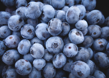 Hortifrut adquiere Atlantic Blue
