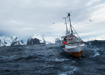 Productos del Mar de Noruega. Fuente: NSC