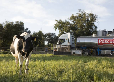 Pascual lanza el Tetra Brik para leche UHT más sostenible del mercado