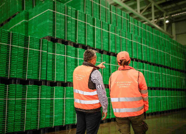 Logifruit crece un 6%