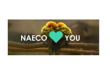 Naeco Loves you