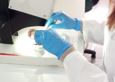 AZTI usa PCR para el origen del mejillón