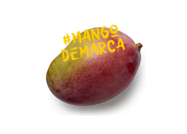 La Unión Corp quintuplicará la producción de mango