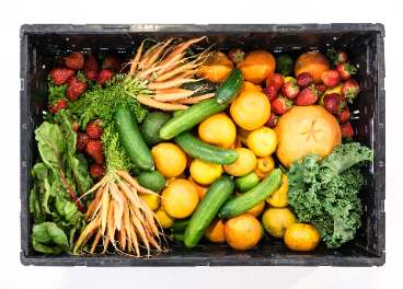Alimentos saludables