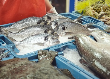 Crece el consumo de pescado de acuicultura