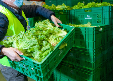 Gadisa recicla 9,41 millones en 2020