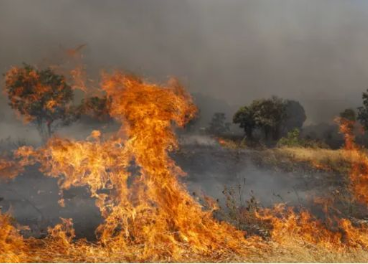 El retail ayuda a los afectados por los incendios