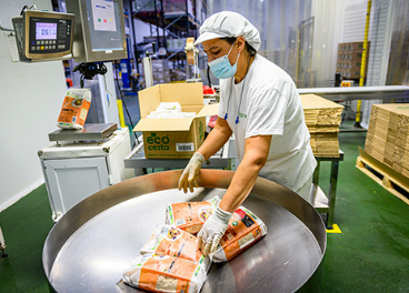 Línea de producción de Biogran