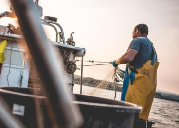 Pescador en Lonja