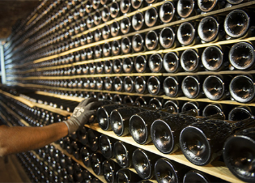 Juvé & Camps sale de la D.O. Cava