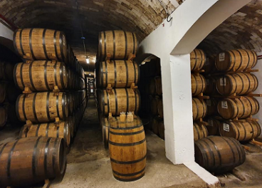 Bodega de whisky DYC en Segovia