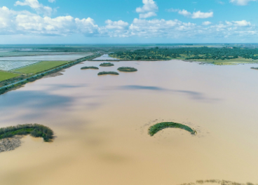 Proyecto Doñana Heineken