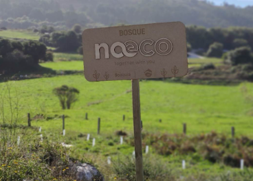 Bosque de Naeco