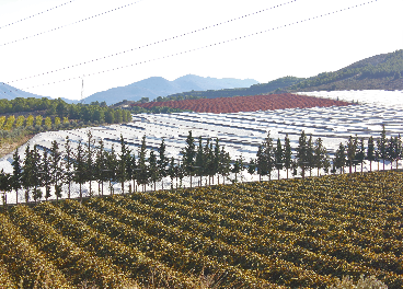 Fincas HaciendasBio de Andalucía