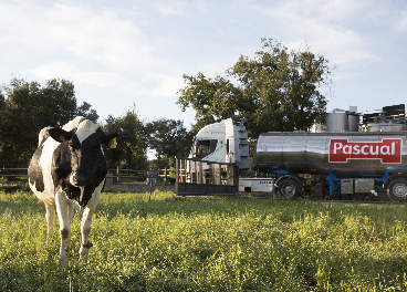 Plataforma 'Dar lo mejor' de Leche Pascual