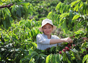 Nestlé lanza Nescafé Plan 2030