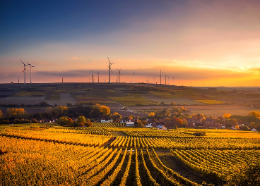 Plantación ecológica en Alemania