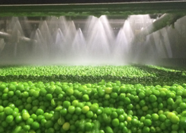 La producción de verduras congeladas cae un 8%