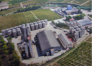 Bodegas de Vins Font