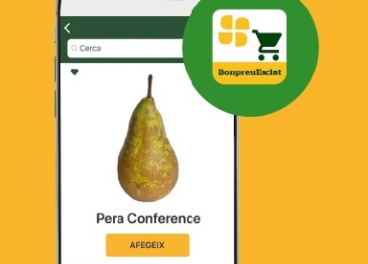 App compra online Bon Preu