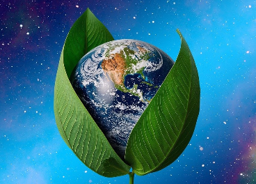 Inditex, Mercadona e Ikea, líderes en RSC