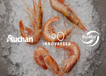 Auchan crece en soluciones a base de insectos