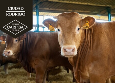 Cebadero de Ciudad Rodrigo de Carpisa Foods