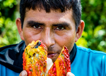 Oikocredit impulsa el comercio justo de cacao